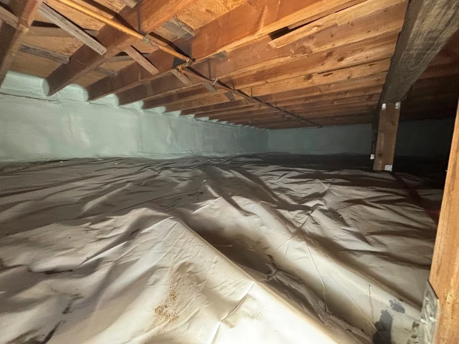 Crawl Space Encapsulation Services