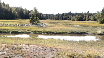 Messenger Marsh