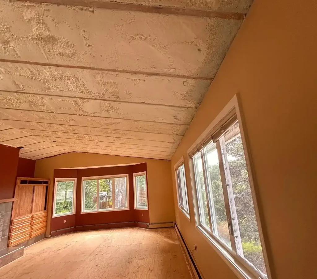 Insulation basement walls space Eagle River AK Insulation basement walls space Eagle River AK